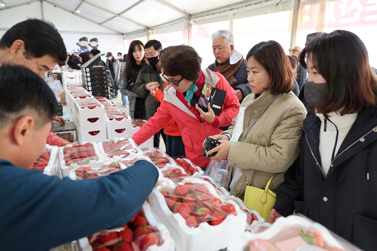 2024 논산딸기축제 기본일정과 개요 소개