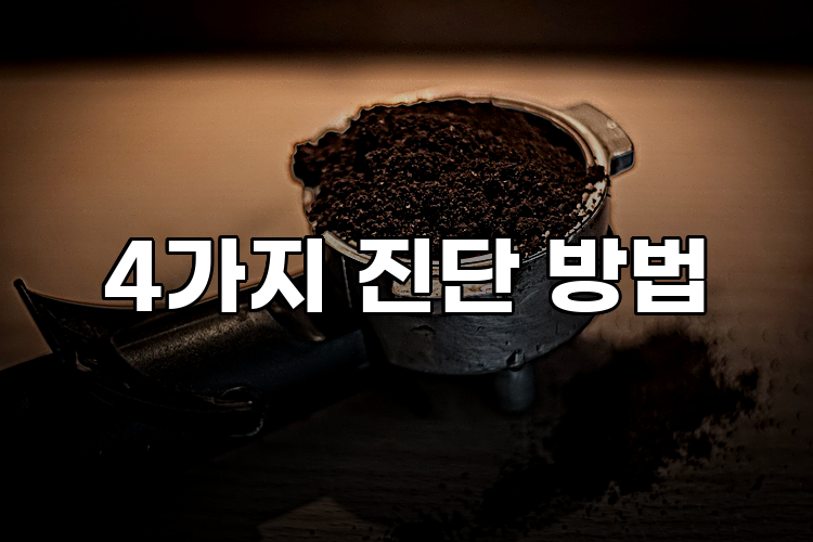 4가지 진단 방법