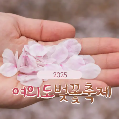 2025 여의도 벚꽃축제