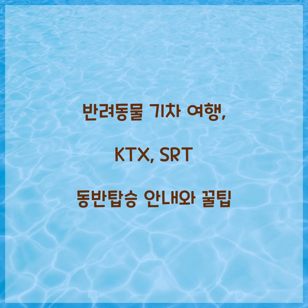 반려동물 기차 여행