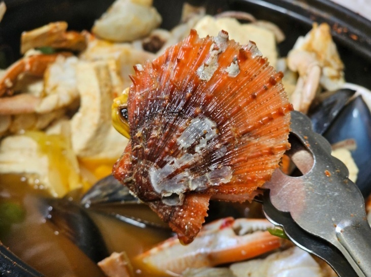 생방송투데이 한우물의법칙 문어해물뚝배기 거제도 맛집 정보