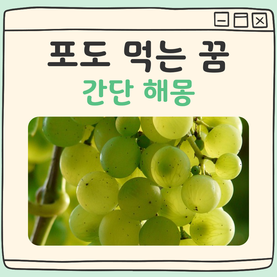 포도 먹는꿈 해몽