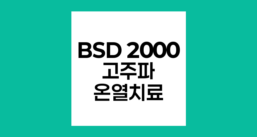 BSD 2000 고주파 온열 치료, 암 치료의 혁신