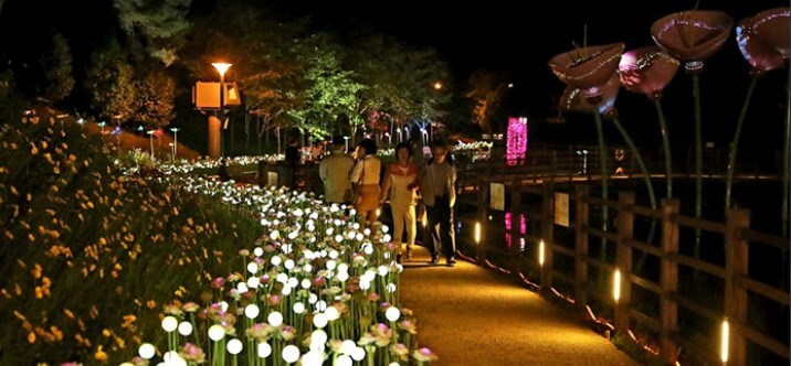 울산대공원장미축제