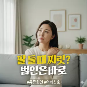 * 이미지 프롬프트: 밝은 자연광이 들어오는 #모던 #미니멀 #깨끗한 거실. **40대 한국인 여성(이목구비가 뚜렷하고 깨끗한 이미지의 얼굴)**이 소파에 앉아, 불편한 듯 자신의 어깨를 살짝 주무르며 생각에 잠긴 표정을 짓고 있다. 전체적으로 밝고 중립적이며 자연스러운 톤. #자연광 느낌 강조. 극사실주의 사진 스타일. 미세한 필름 그레인 효과 추가.

* 썸네일 텍스트(제목): 팔 들 때 찌릿? 범인은 바로
* 해시태그: #통증원인 #어깨신호