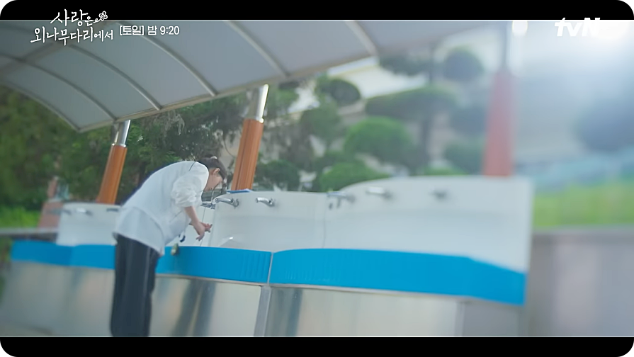 사랑은 외나무다리에서