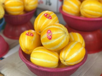 2025 소비쿠폰 최대 50만 원 지급&amp;#44; 지원 대상&middot;신청 방법 총정리