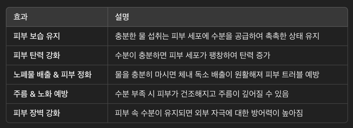 물 섭취와 피부 건강의 관계