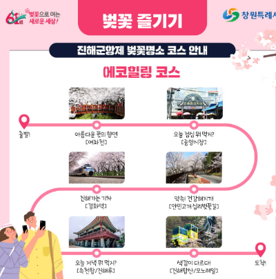 진해 군항제 벚꽃 개화