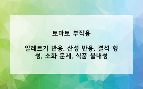 토마토 부작용 사진