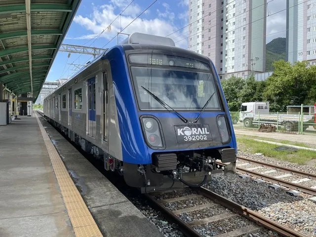 대구 대경선 시간표 노선도 요금 예매 할인_6