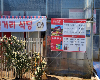 서산 국화축제_18