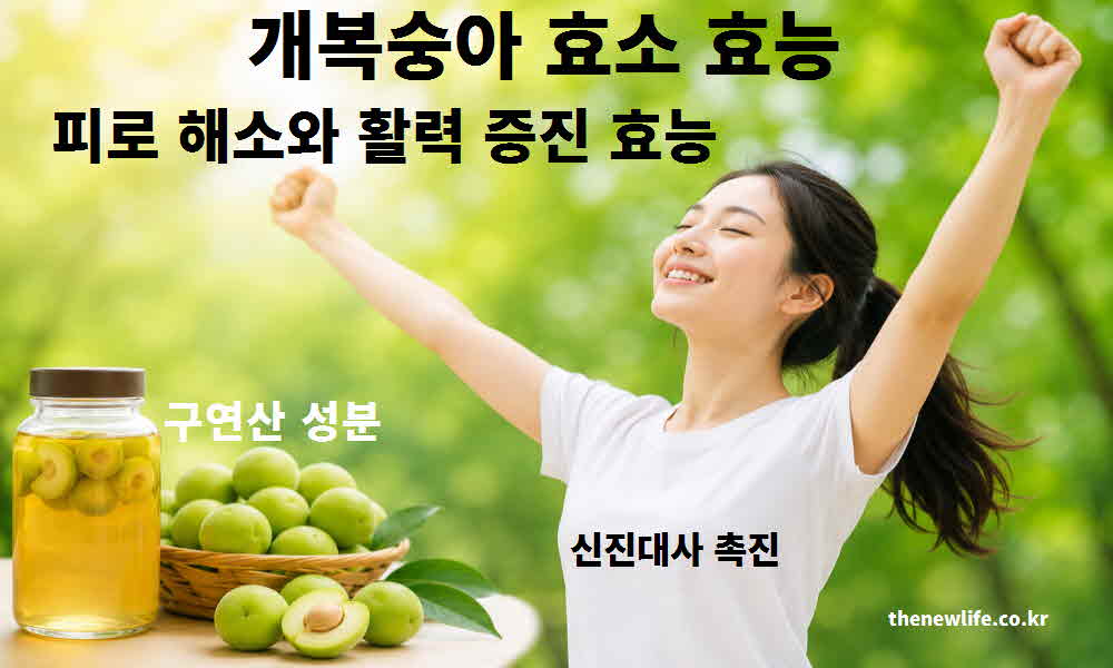 개복숭아 효소 효능 피로 해소 활력 증진