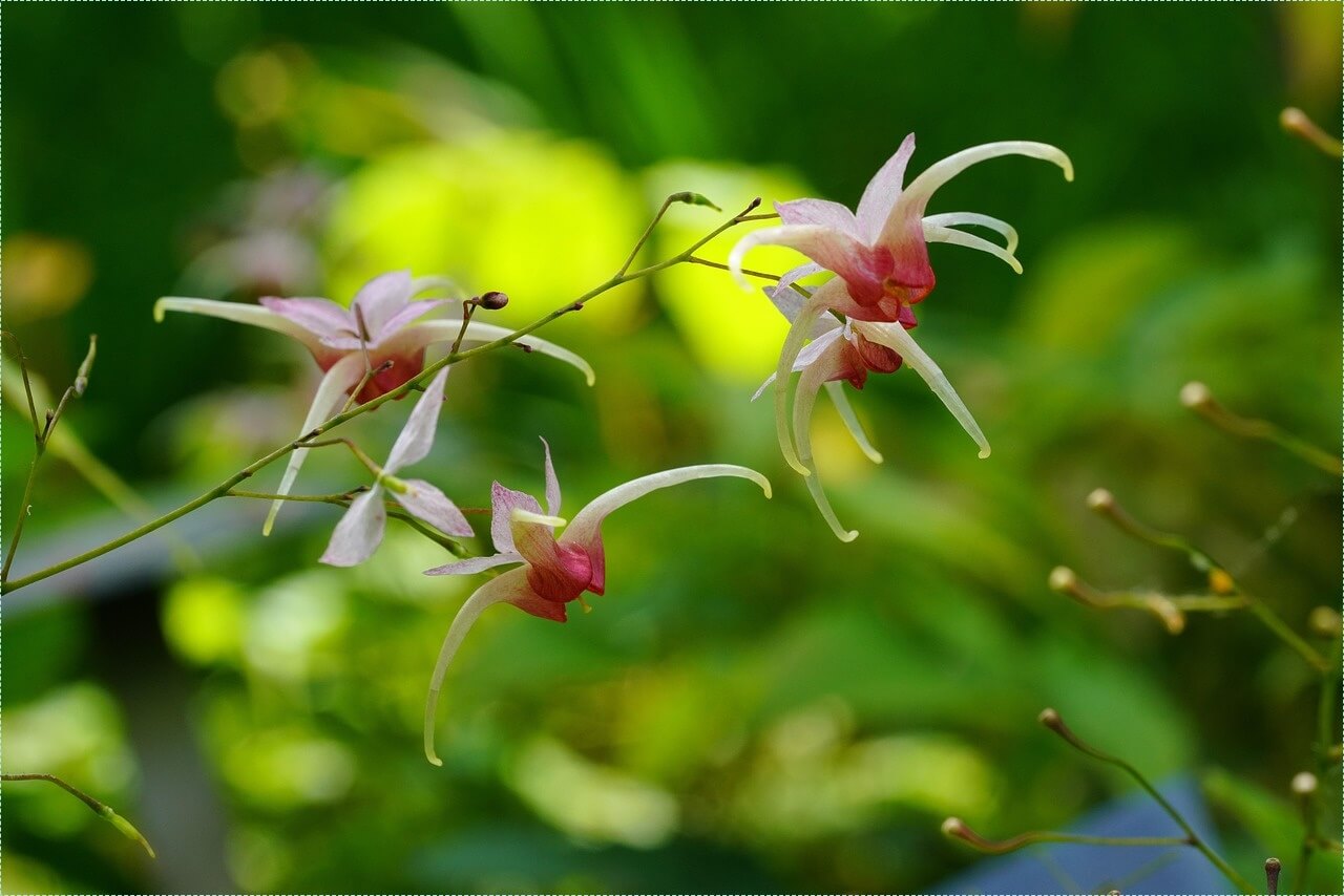 은행 적금 이자 높은곳