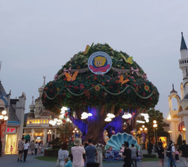 에버랜드 큐패스 패키지 구입