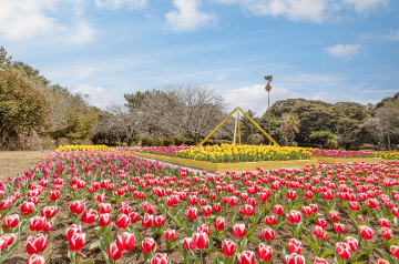 제주도 4월 축제 일정 총정리