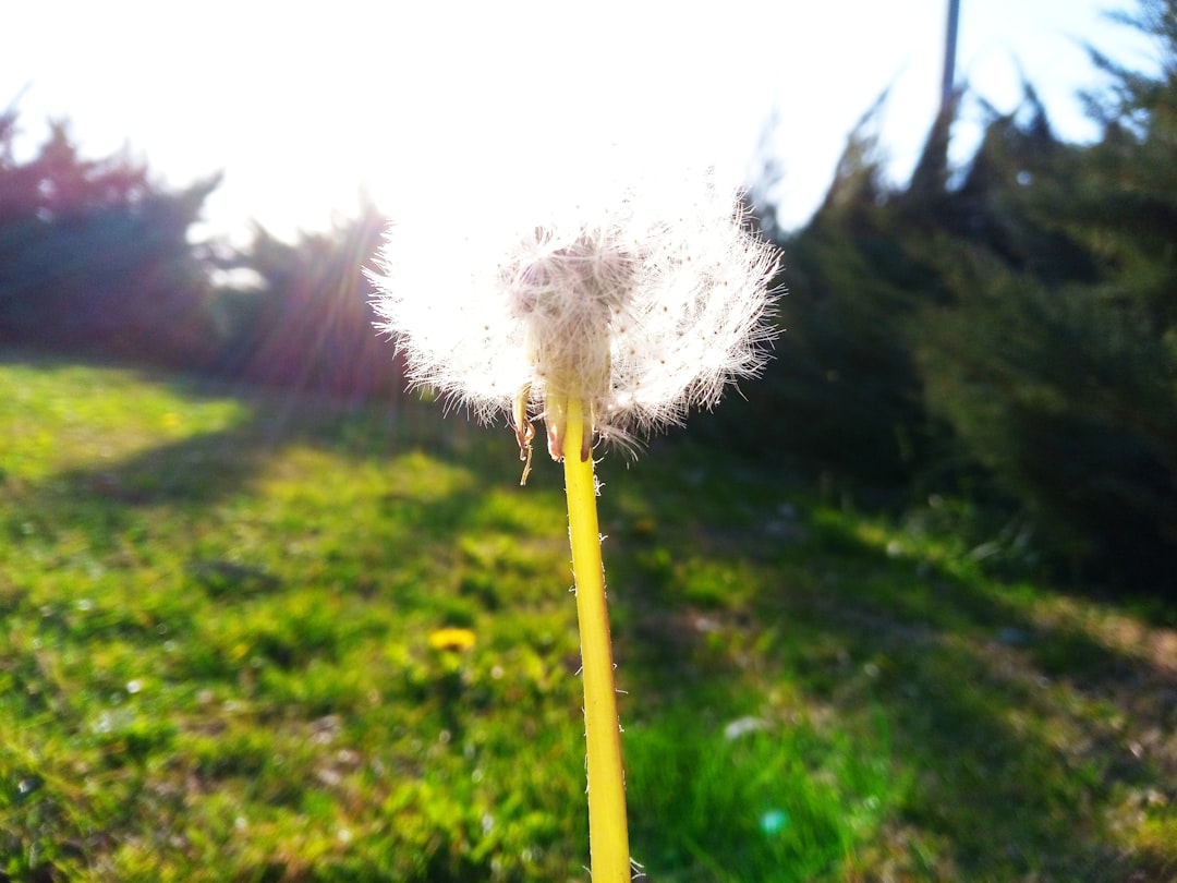 Miracles