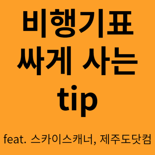 비행기표 싸게 사는 팁