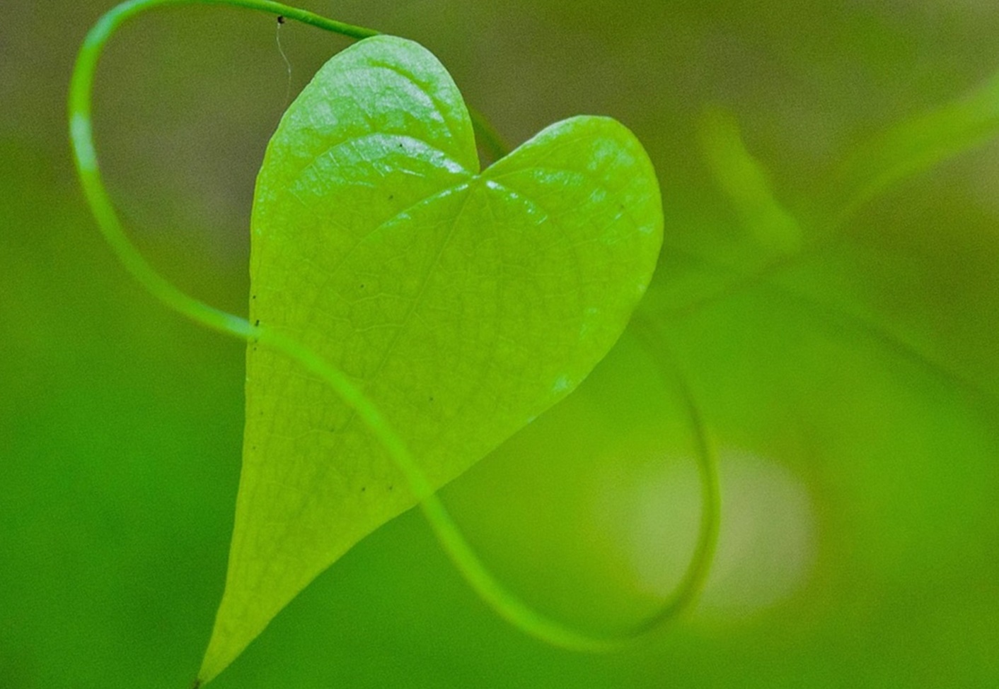 혈당이 무너지면 가장 먼저 위험해지는 장기&amp;#44; &lsquo;신장&rsquo;