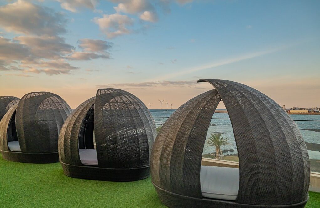 2025 제주도 웨이뷰 메밀꽃밭 축제, 웨이뷰에서 사랑하는 사람들과 행복한 시간을 보내세요!