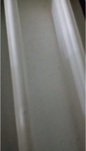 베란다 벌레 완벽 차단 방법과 여름철 실내 해충 예방 꿀팁_23