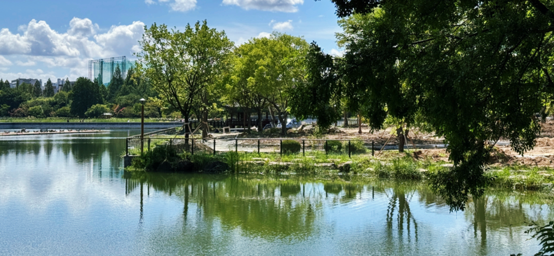 전주의 덕진공원