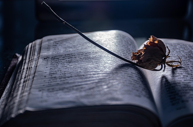 펼쳐진 책 위 시든 꽃