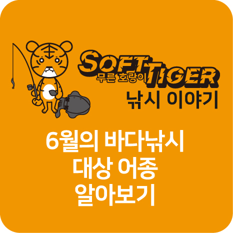 6월 바다낚시 어종 알아보기 title