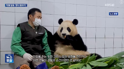 푸바오와-할아버지