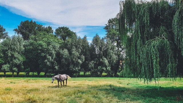 2024년 신년운세 말띠 4월 운세 혼자 말고 같이~