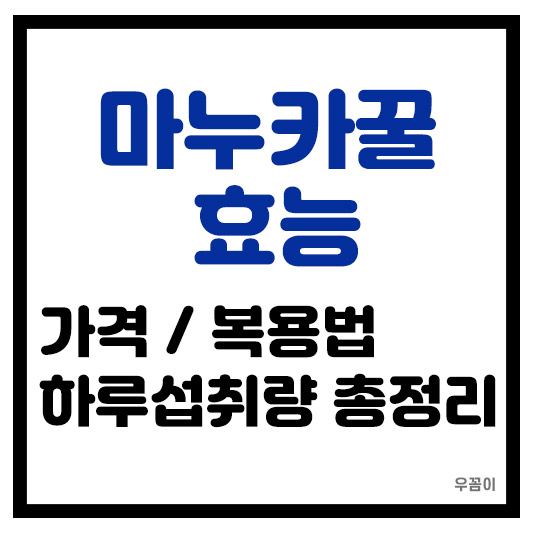 호주 뉴질랜드 마누카꿀 가격 효능 보관법 복용법 칼로리 하루섭취량 총정리