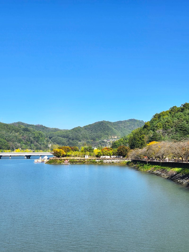 Wolryeonggyo Bridge nature, 월영교 자연