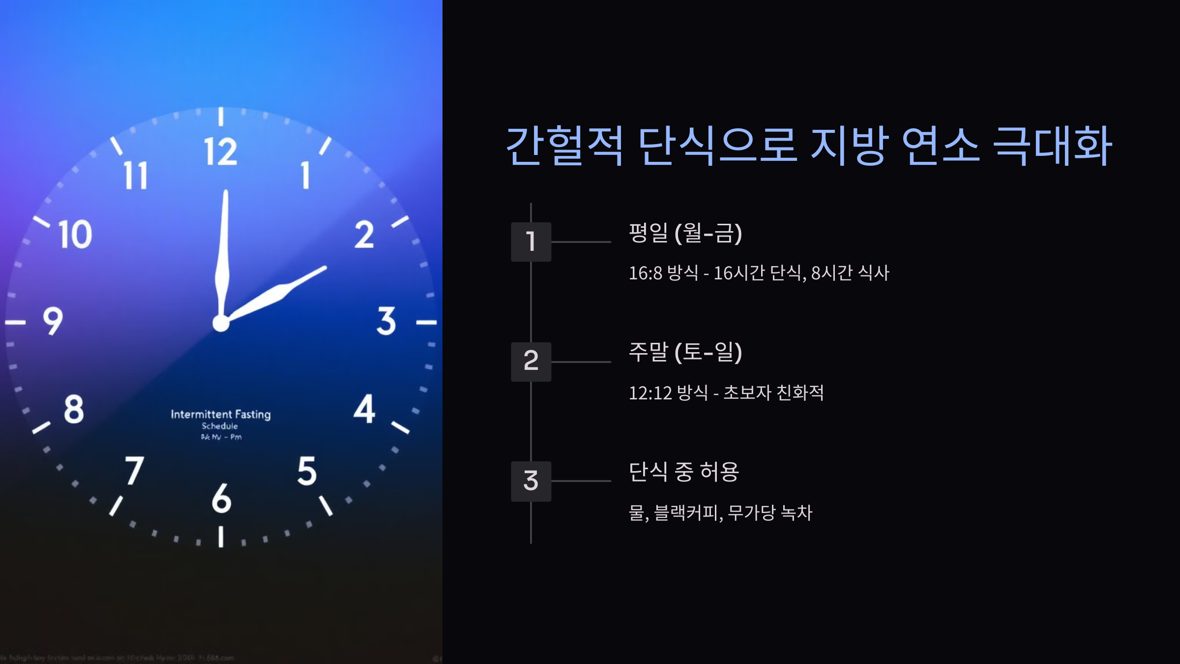 간헐적 단식 유산소 운동 다이어트