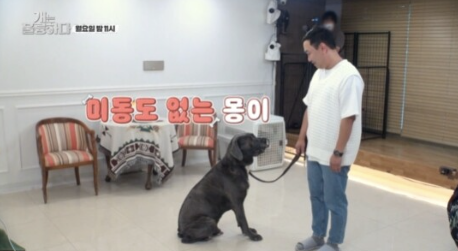 강형욱 방송활동