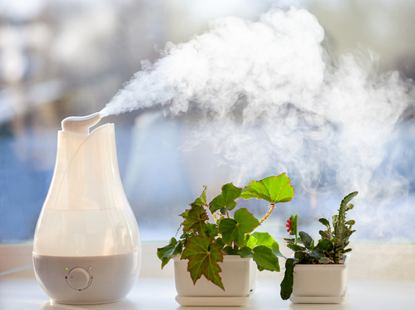 ๊ฐ์ต๊ธฐ ์ถ์ฒ