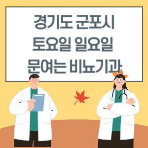 경기도 군포시 토요일 일요일 비뇨기과 진료 문여는 병원 리스트