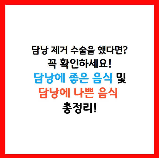 담낭