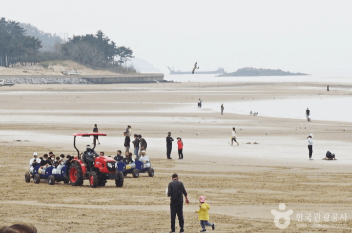 임자 대광해수욕장