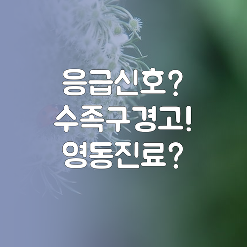 영동군 수족구 응급 신호와 진료 가능..