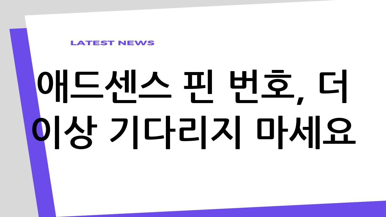 애드센스 핀 번호,