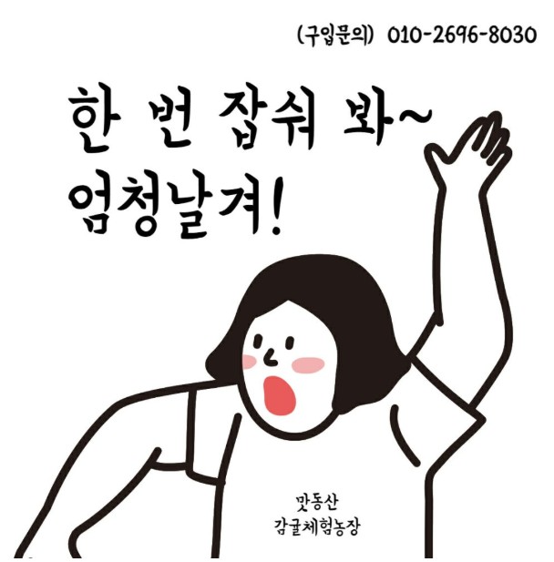 제주 그린향 맛동산감귤체험농장
