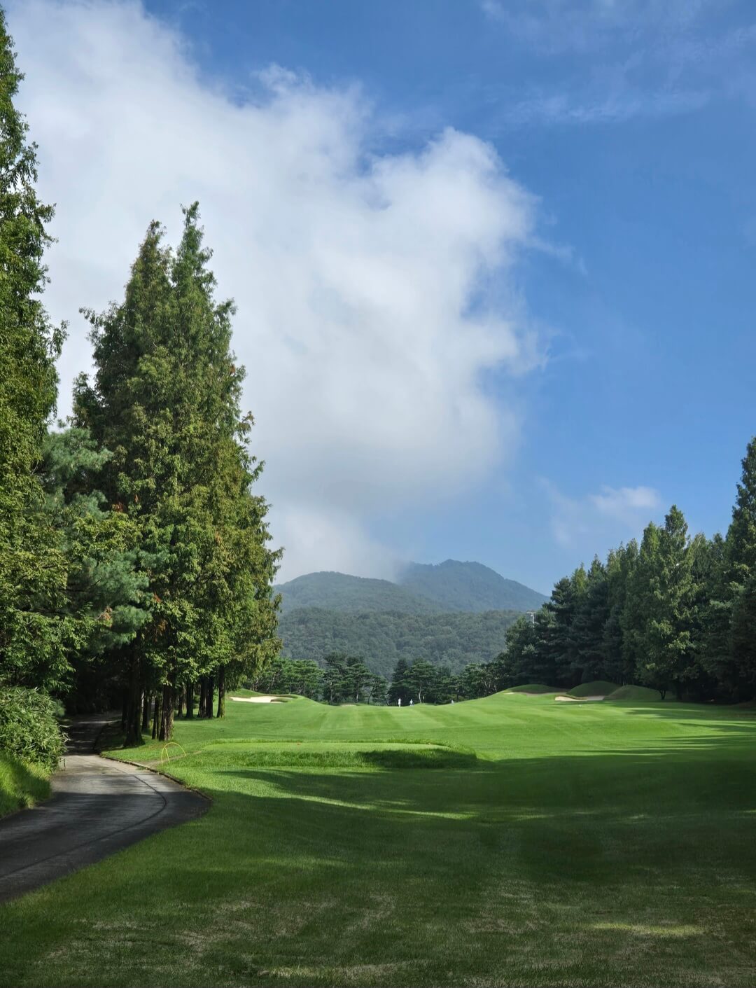 블루헤런CC 서코스 전경