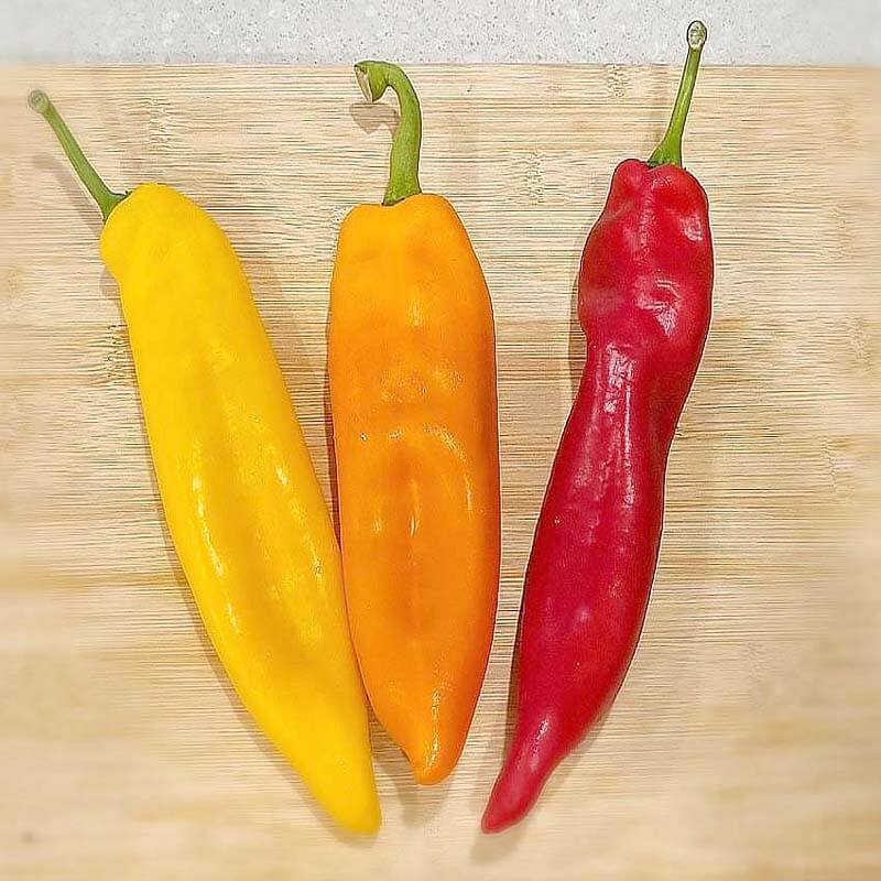 트리벨리-파프리카