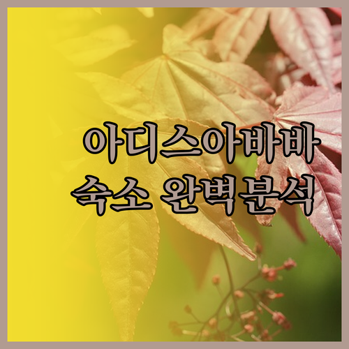 아디스아바바 숙소 완벽 분석 다비 호
