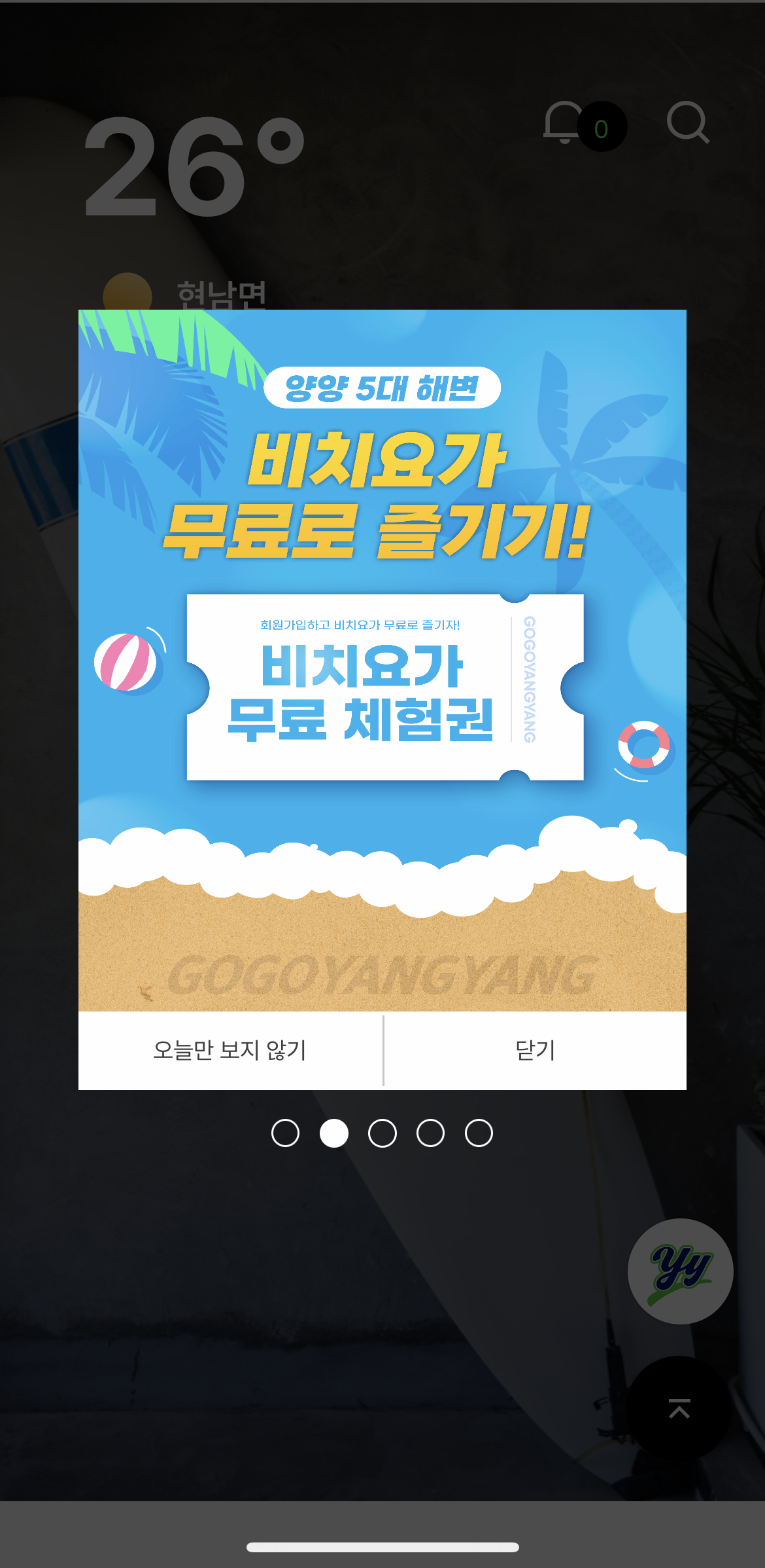 고고양양 비치요가 무료 체험권