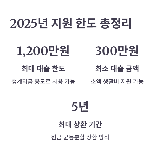 2025년 한도 및 금리 총정리