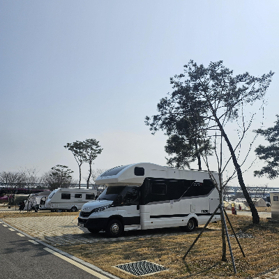 목계솔밭_캠핑장_중형