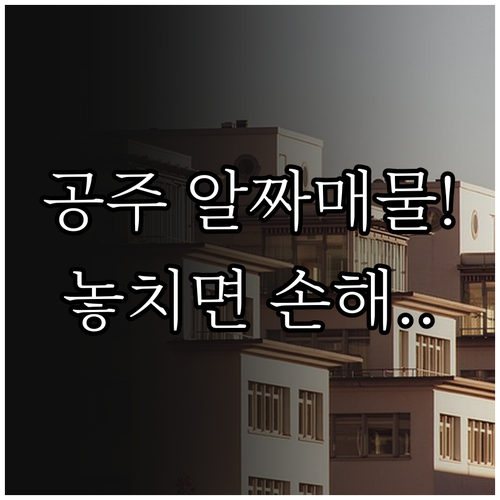 공주교차로 부동산에서 알짜 매물 찾는..