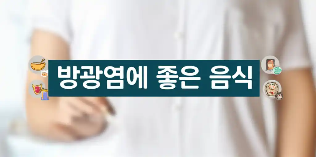 방광염 예방 및 완화에 좋은 음식들을 보여주는 이미지