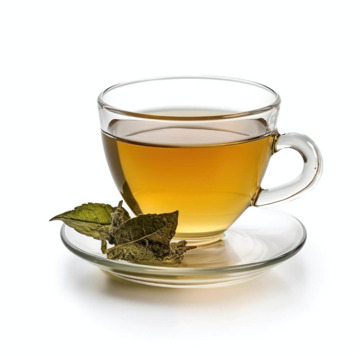 카테킨이-많이-함유된-녹차